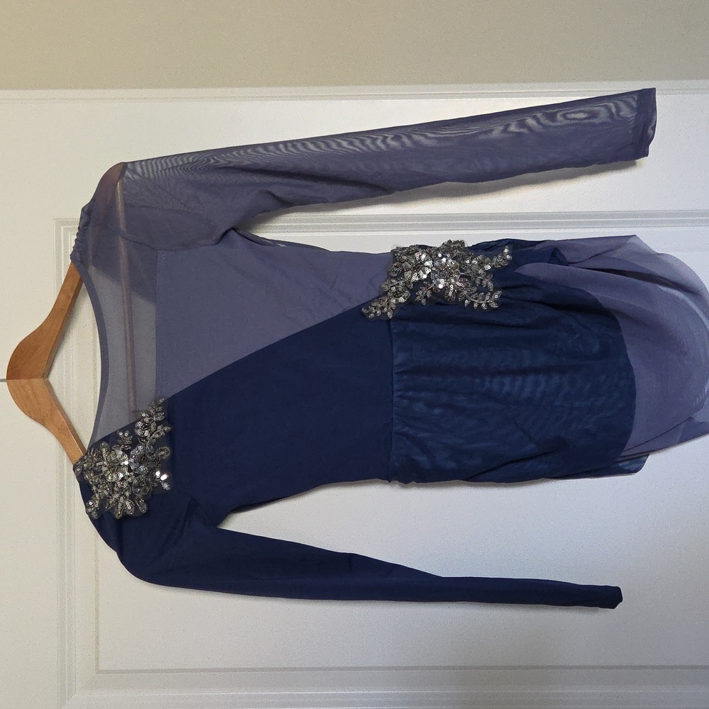 Elegant Blue and Silver Embellished Dress